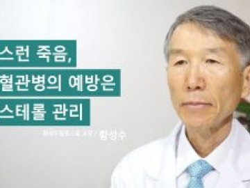 갑작스런 죽음, 심장혈관병의 예방은 콜레스테롤 관리