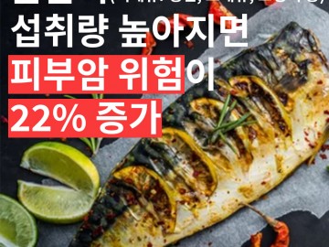 물살이 섭취량이 높아지면 피부암 위험이 22% 증가